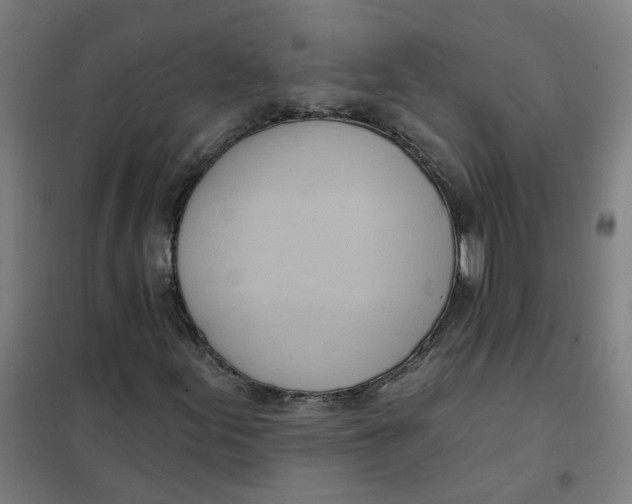 X0000101211155200807251042