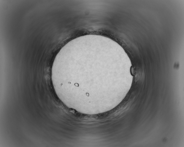 X0000101211156200807251042