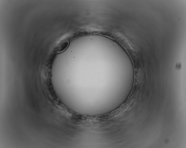 X0000101211157200807251042