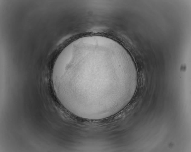 X0000101211158200807251042