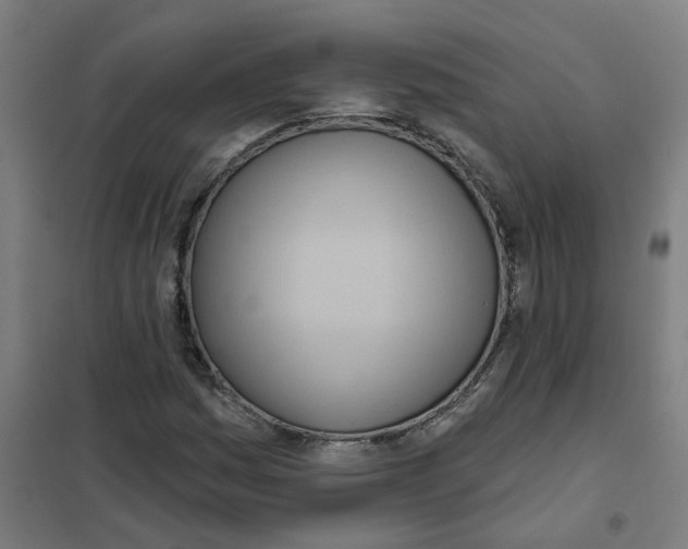 X0000101211161200807251042