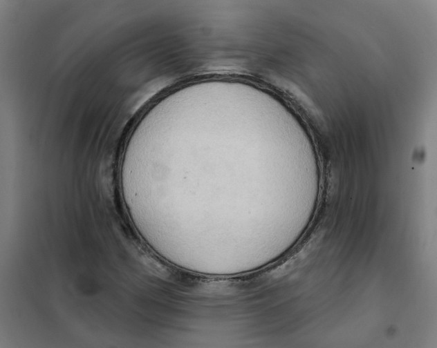 X0000101211162200807251042