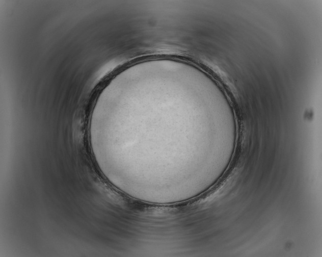 X0000101211163200807251042