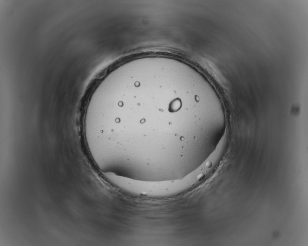 X0000101211164200807251042