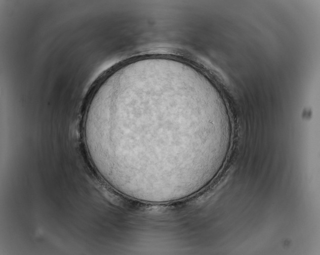 X0000101211166200807251042