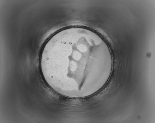 X0000101211167200807251042