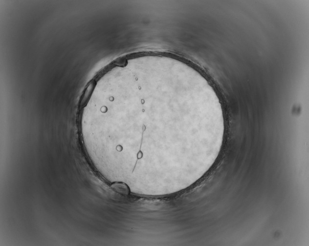 X0000101211168200807251042