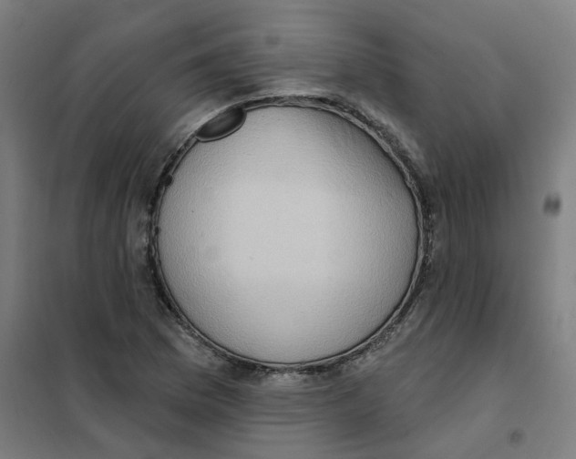 X0000101211169200807251042