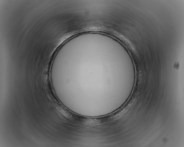 X0000101211170200807251042