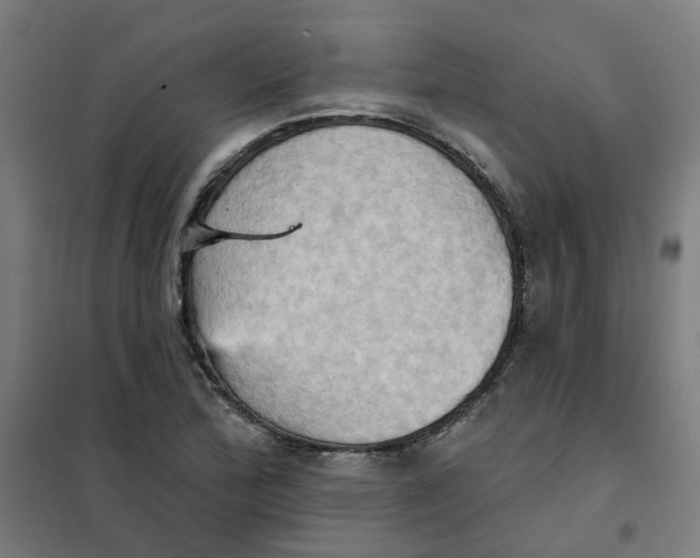 X0000101211172200807251042