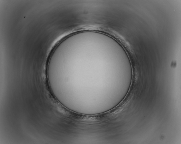 X0000101211174200807251042