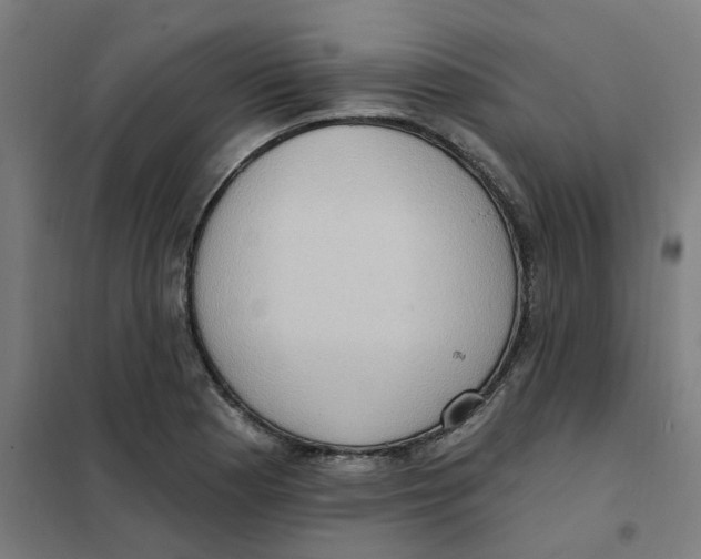 X0000101211177200807251042