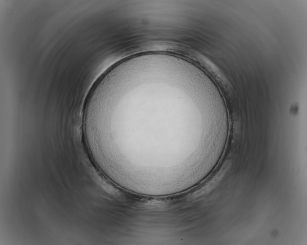 X0000101211178200807251042