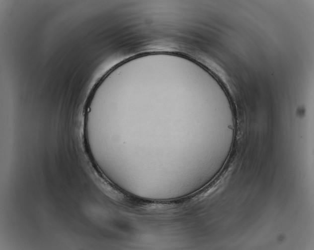 X0000101211179200807251042