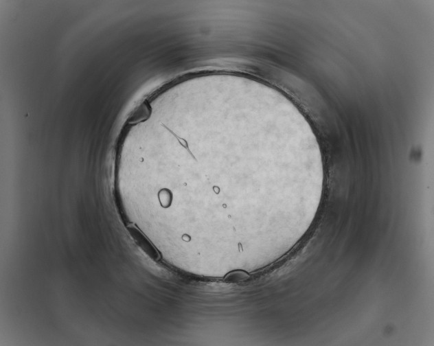 X0000101211180200807251042