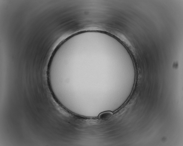 X0000101211181200807251042