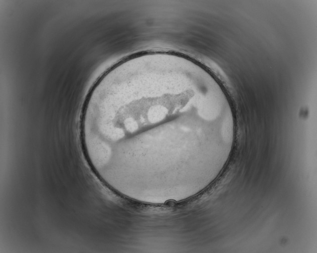 X0000101211183200807251042