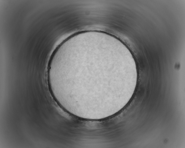 X0000101211184200807251042