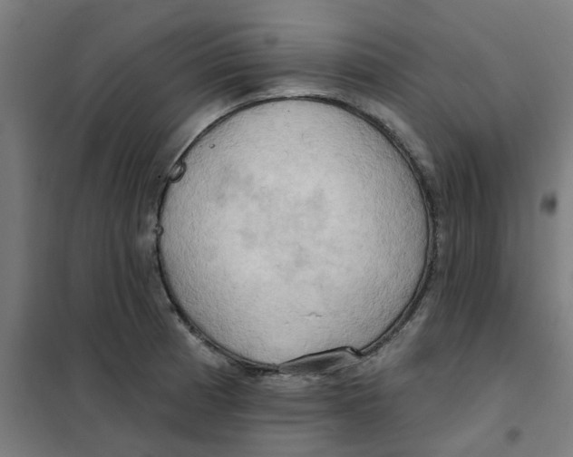 X0000101211185200807251042