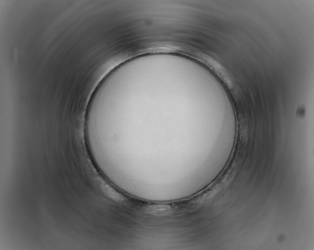 X0000101211186200807251042