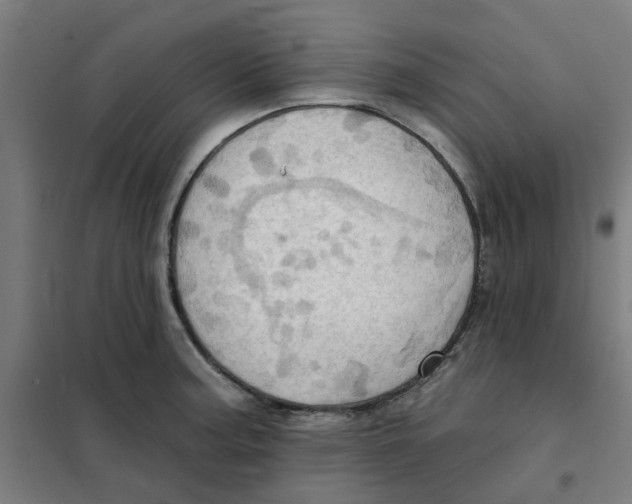 X0000101211187200807251042