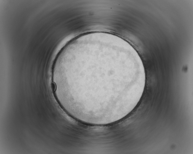 X0000101211188200807251042