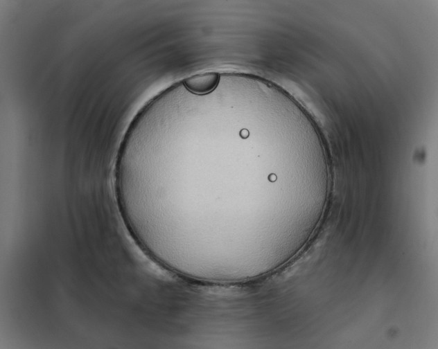 X0000101211189200807251042