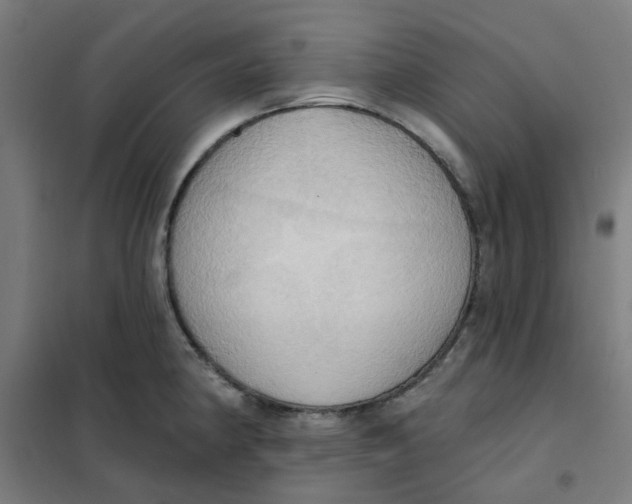 X0000101211190200807251042