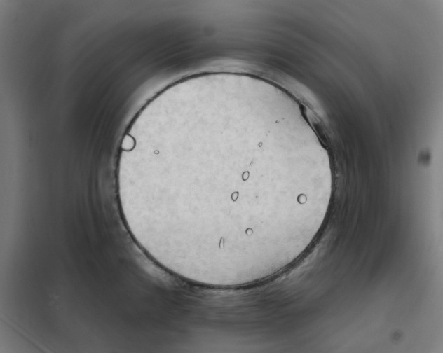 X0000101211192200807251042