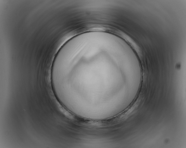 X0000101211194200807251042