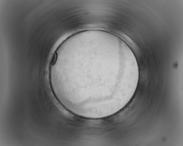 X0000101211196200807251042