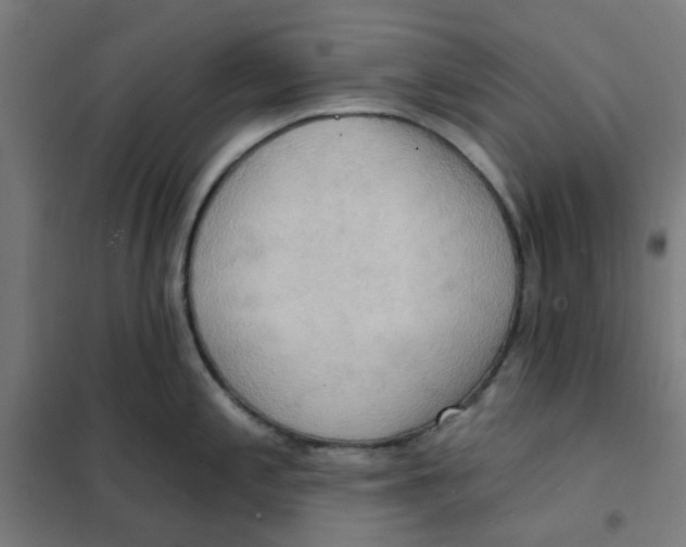 X0000101211197200807251042