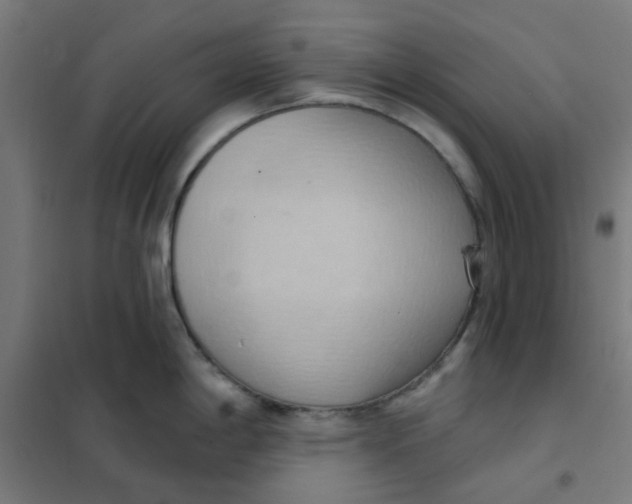 X0000101211198200807251042