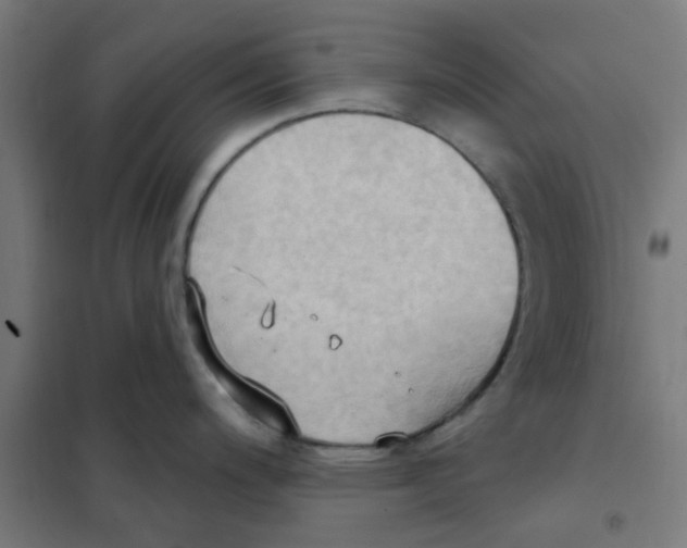 X0000101211200200807251042