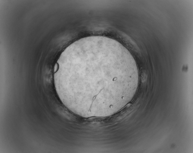 X0000101211204200807251041