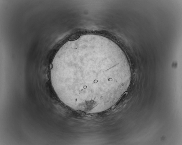 X0000101211205200807251041
