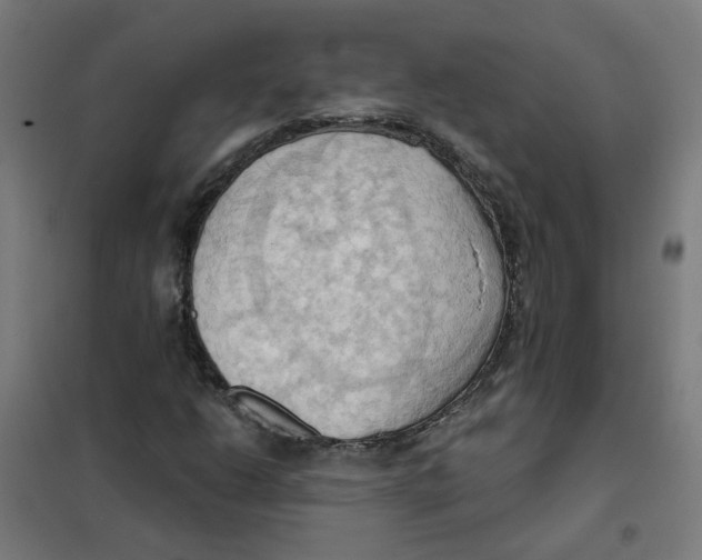 X0000101211206200807251041