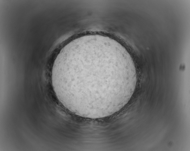 X0000101211207200807251041