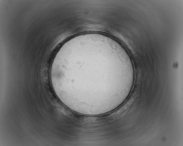 X0000101211211200807251041