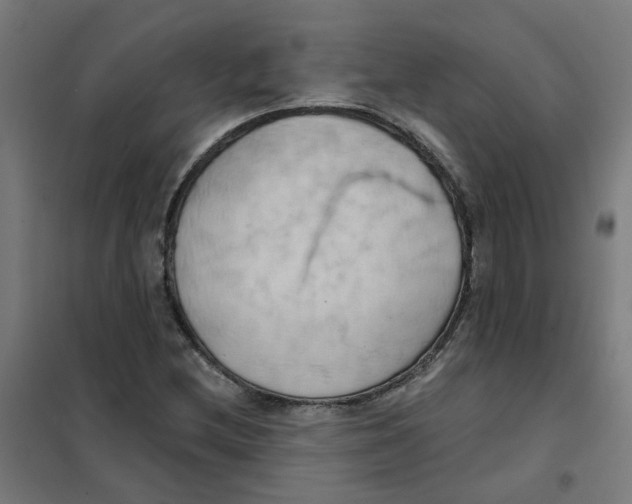 X0000101211212200807251041