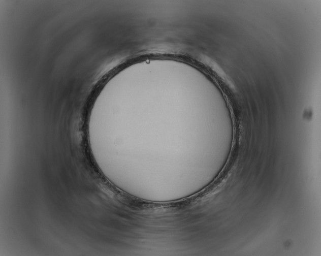 X0000101211213200807251041