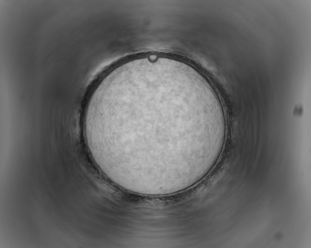 X0000101211214200807251041