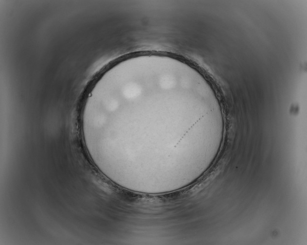 X0000101211215200807251041