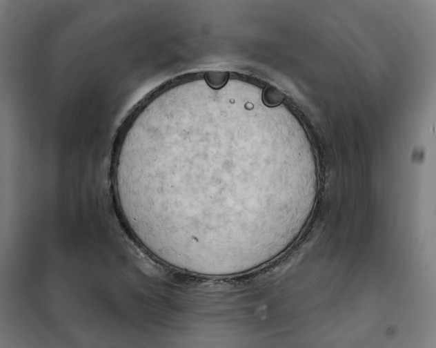 X0000101211216200807251041