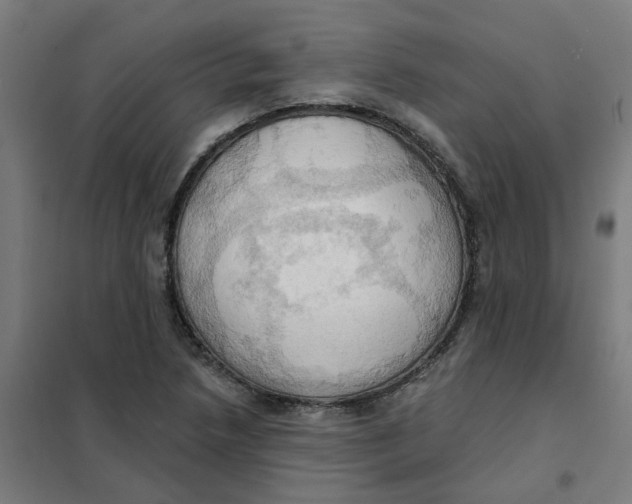 X0000101211218200807251041