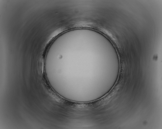 X0000101211219200807251041