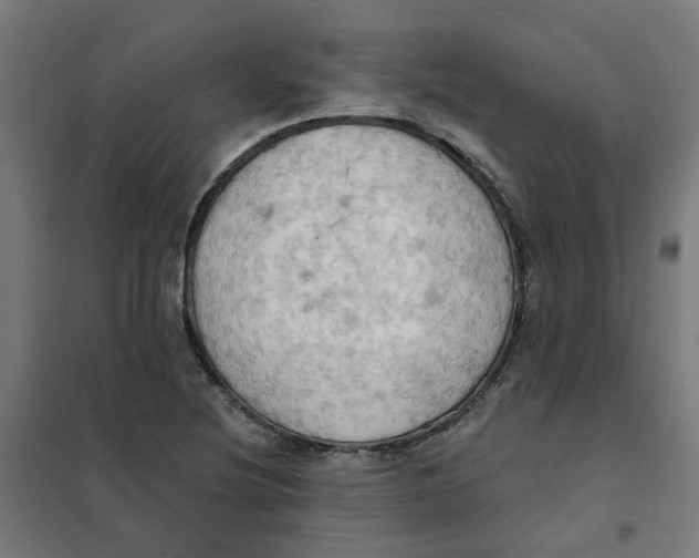 X0000101211220200807251041