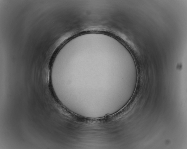 X0000101211221200807251041