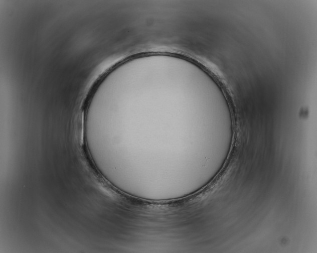 X0000101211223200807251041