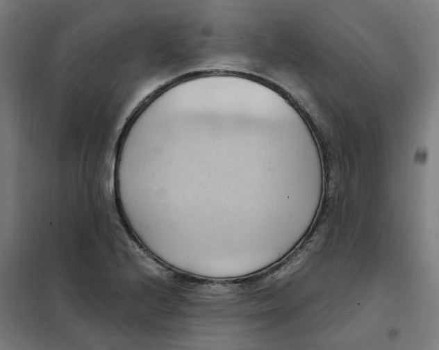 X0000101211224200807251041